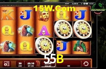 Flash Promotion 55B