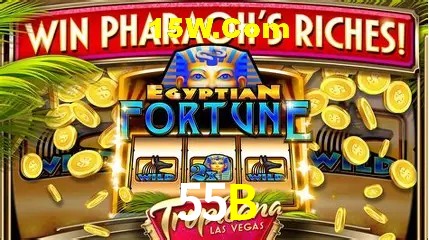 Account Benefits 55B