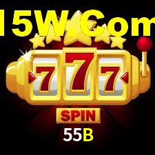 Premium Interface 55B